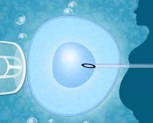 36岁卵巢早衰做试管成功率高吗?卵子质量是成功的关键