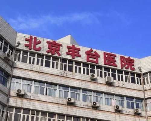 育儿百科_育儿心得怎么写,备孕期间吃什么促排卵 饮食选择要科学