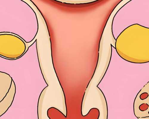 重庆求别人为自己代孕|四川省妇幼做试管好吗？试管婴儿成功率高吗？