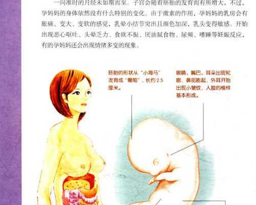 1如何增强y精子活力