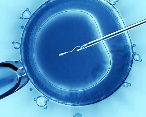 备孕需要做些什么准备_备孕饮食注意事项,孕期能不能吃三文鱼