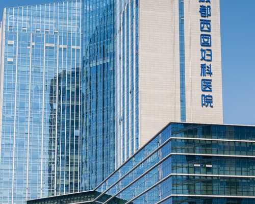 孕妇饮食安全：孕早期是否适合食用鱼腥草根？