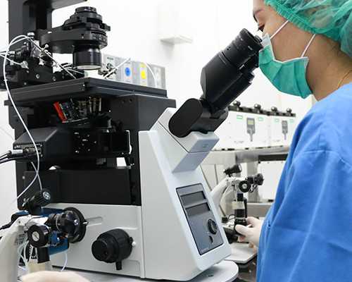 重庆代孕为我还债张总子宫|晋城试管供卵,铁岭试管供卵