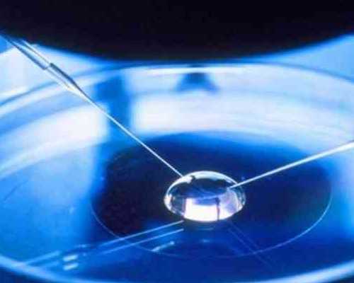 备孕可以吃什么_怀孕育儿软件哪个好,国内三代试管包生男孩多少钱?揭晓202