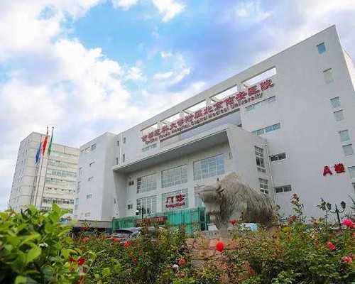 重庆试管婴儿费用纳入医保了是真的吗?,2026
年重庆供卵试管婴儿医院供卵生男