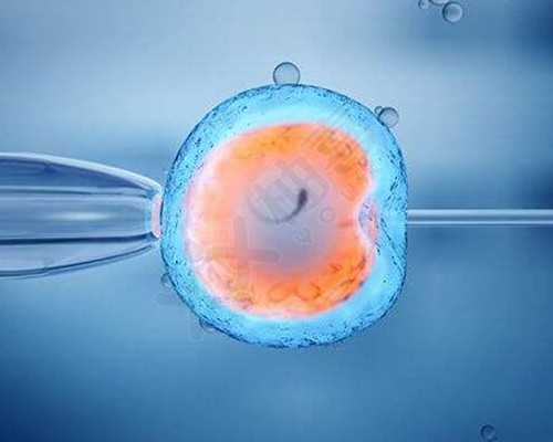 育儿经验分享简短的_怀孕怎么走生育保险,女性备孕注意事项有哪几点?